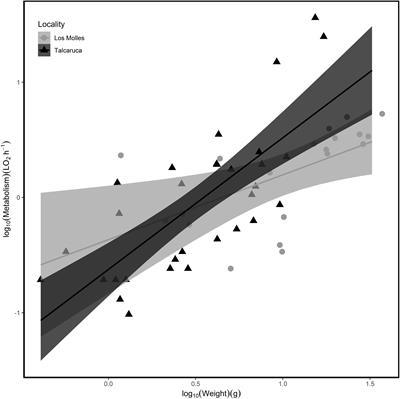 Variable Environments in an Upwelling System Trigger Differential Thermal Sensitivity in a Low Intertidal Chiton